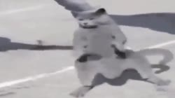 640x360