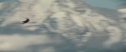 1280x534