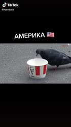 406x720