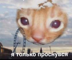 828x688