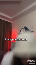 540x960