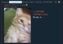 552x395