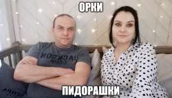775x446