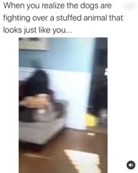 460x574