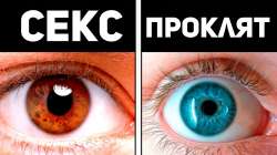 1280x720