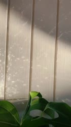 540x960