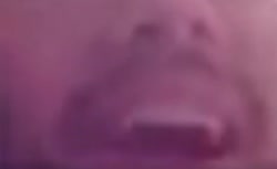 384x236