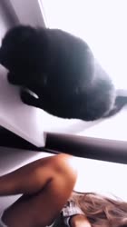 640x1136