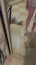 720x1280