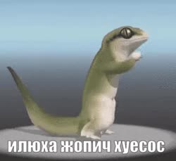 320x294