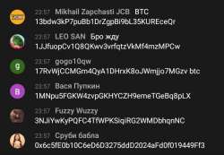 720x501