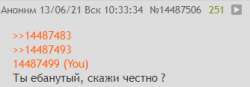 334x117