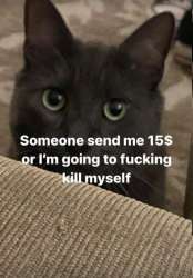 505x724