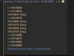 404x311