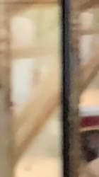 720x1280