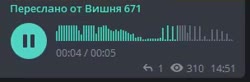 304x100