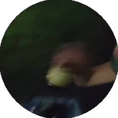 240x240