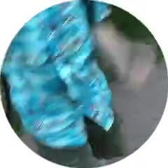 240x240