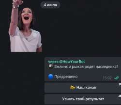 532x464