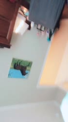 540x960