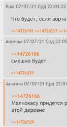 328x620