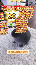 640x1136