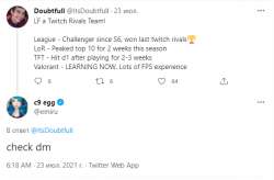 599x393