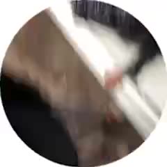 240x240