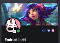 362x262