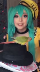 720x1280
