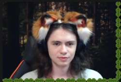 339x231