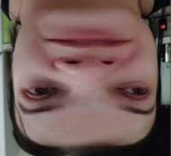 364x332