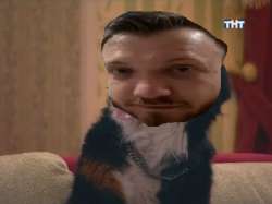 600x450
