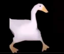 902x760