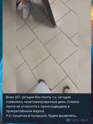 361x482
