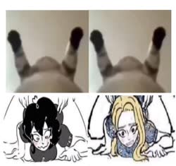 680x640