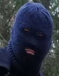 319x409