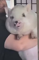 640x960