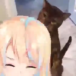 426x426