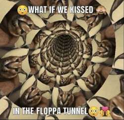746x725