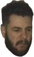 305x495