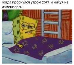 604x531