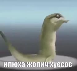 320x294