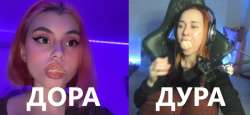 600x278