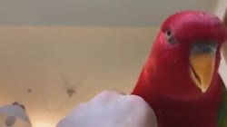 460x258