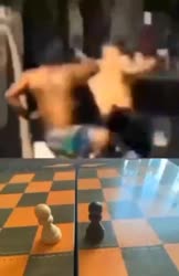 360x554