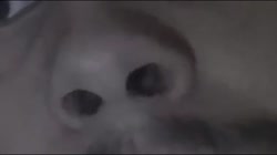 640x360