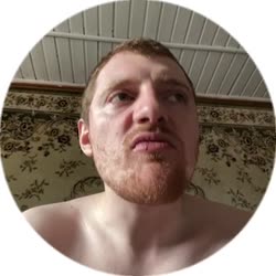 384x384