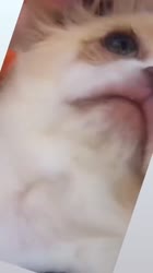 640x1136