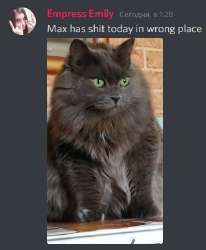 300x364